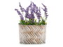 Ibergarden Macetero Metal Ovalado Haut Grand Osier Assortis 12.7x15x23.5 cm (Set de 24)