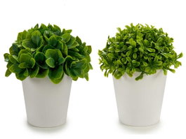 Ibergarden Pot Blanc Feuilles Courtes 2 Modèles 13x17x13 cm Plastique (Set de 24)
