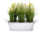 Ibergarden Jardinera 2 anses Blanc bord argenté métal (zinc) 32,5 x 10,5 x 11 cm (Set de 24)