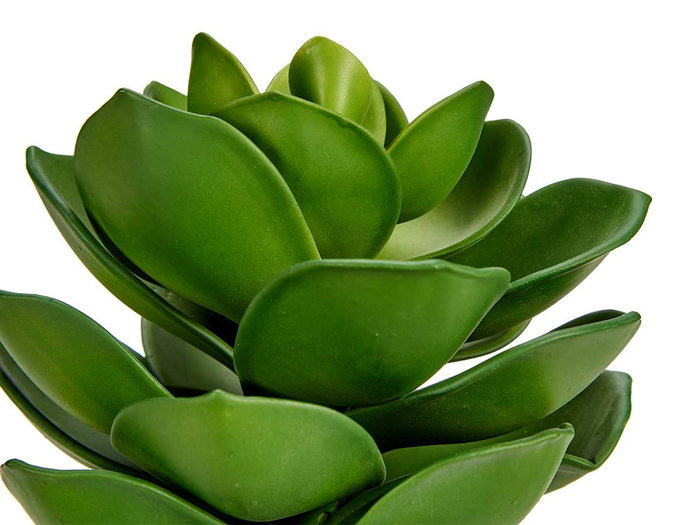 Ibergarden Maceta Planta Hoja Ancha Grande 16x21x16 cm Plastique Vert et Gris (Set de 12) Ibergarden Maceta Planta Hoja Ancha Grande 16x21x16 cm Plastique Vert et Gris (Set de 12)