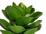 Ibergarden Maceta Planta Hoja Ancha Grande 16x21x16 cm Plastique Vert et Gris (Set de 12)