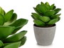 Ibergarden Maceta Planta Hoja Ancha Grande 16x21x16 cm Plastique Vert et Gris (Set de 12)