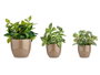 Ibergarden Lot de 3 pots en céramique abombada taupe 14-17-22 cm