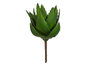 Ibergarden Plante Aloe Vera en pot 13x24,5x14 cm (Set de 18)