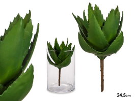 IBERGARDEN PLANTA ALOE VERA
