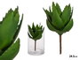 Ibergarden Plante Aloe Vera en pot 13x24,5x14 cm (Set de 18)