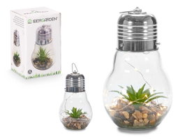 Giftdecor Ampoule Cactus Guirlande LED Verte Transparente Verre 14x29x14 cm (Set de 8)