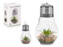 Giftdecor Ampoule Cactus Guirlande LED Verte Transparente Verre 14x29x14 cm (Set de 8)