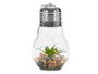 Giftdecor Ampoule Cactus Guirlande LED Verte Transparente Verre 14x29x14 cm (Set de 8)