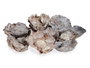 Giftdecor Sac à fleurs naturel en feuilles 9x27x9 cm (Set de 12)