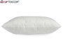 Giftdecor Remplissage Coussin 60x60 cm 550 g Blanc (Set de 5)