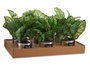 Ibergarden Plante Artificielle Verte Pot Métal Argenté 26x26x26 cm Plastique (Set de 12)