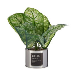 IBERGARDEN Plante artificielle verte Lata Plata