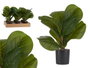 Ibergarden Plante Artificielle en Pot Plastique Noir 9.5x42x9.5 cm (Set de 12)