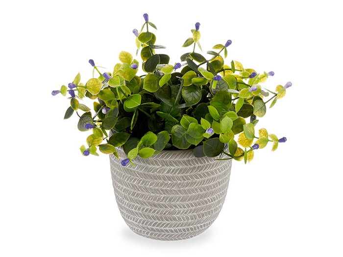Ibergarden Plante Verte Fleur Lilas avec Pot Gris 21x20x21 cm (Set de 8)