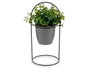 Ibergarden Plante Feuille Ronde Base Métal Gris Plastique Vert Noir 21x30x21 cm (Set de 8)