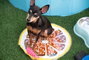 Mascow Tapis Rafraîchissant pour Animal Orange 35x35 cm (Set de 12)