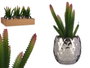 IBERGARDEN Cactus Artificiel en Pot Céramique Argent 10 x 20 x 10 cm (Set de 12)