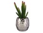 IBERGARDEN Cactus Artificiel en Pot Céramique Argent 10 x 20 x 10 cm (Set de 12)