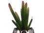 IBERGARDEN Cactus Artificiel en Pot Céramique Argent 10 x 20 x 10 cm (Set de 12)