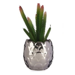 IBERGARDEN Cactus Artificiel avec Pot en Céramique Argentée
