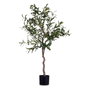 Ibergarden Plante décorative Olivier 85 x 1,5 x 85 cm