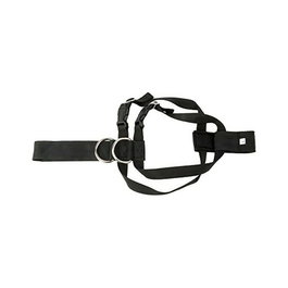 Abc Harnais Pour Chien Taille L MOT2659