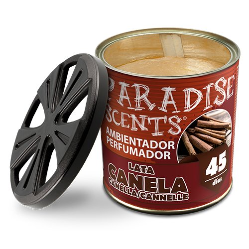 Abc Parfum d'ambiance en boîte gel Cannelle Paradise 100g