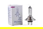 M-Tech Px26D Lampe Halogène H7 12V 55W Claire