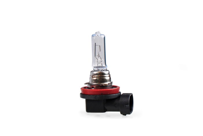 M-Tech Pgj19-5 12 V-65 W H9 Lampe Halogène