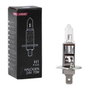 M-Tech Ampoule Halogène H1 70W 24V P14.5S