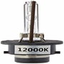 M-Tech Lampe Xénon BASIC D2S 12000K