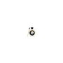Shunga Peinture corporelle SH-7001 Vanille Chocolat (100 ml)