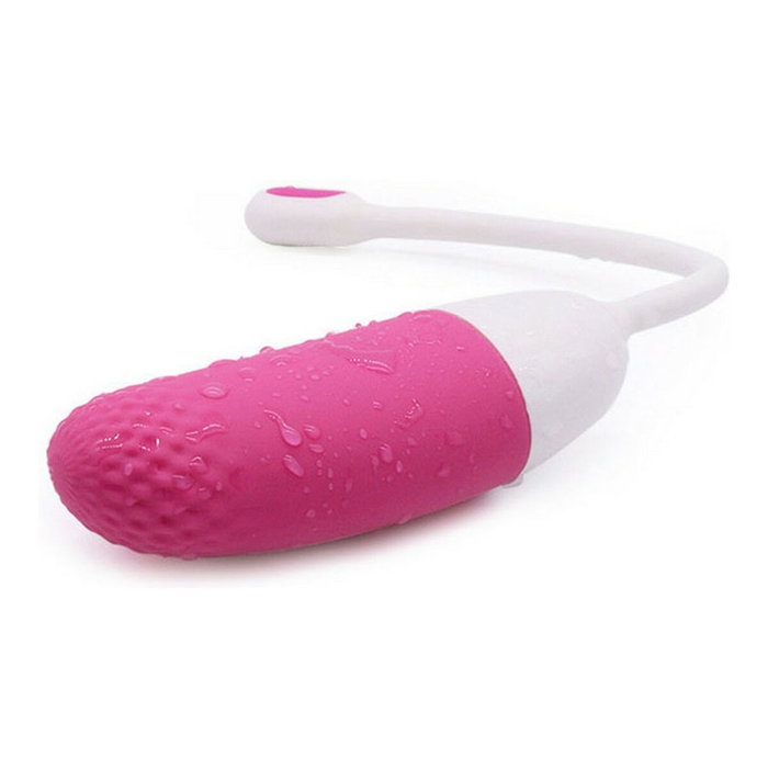 Œufs vibromasseur Magic Motion Œufs vibromasseur Magic Motion