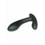 Stimulateur de Prostate Flexing Flavio Electrosex Mystim MS46455 Noir