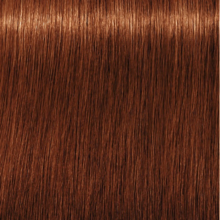 Schwarzkopf IGORA ROYAL 6-77 Schwarzkopf IGORA ROYAL 6-77