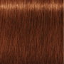 Schwarzkopf IGORA ROYAL 6-77