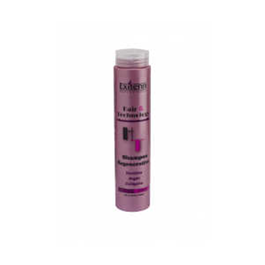 Exitenn Shampooing Régénérant 250ml