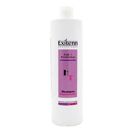 Exitenn Shampoing Régénérant 1000 mL - À l'Argan, Kératine, Arginine et Collagène - Pour Cheveux Abîmés, Frisés ou Déshydratés