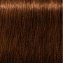 Schwarzkopf IGORA ROYAL ABSOLUTES Coloration Permanente Crème #8-60 Blond Clair Brun Naturel 60 ml