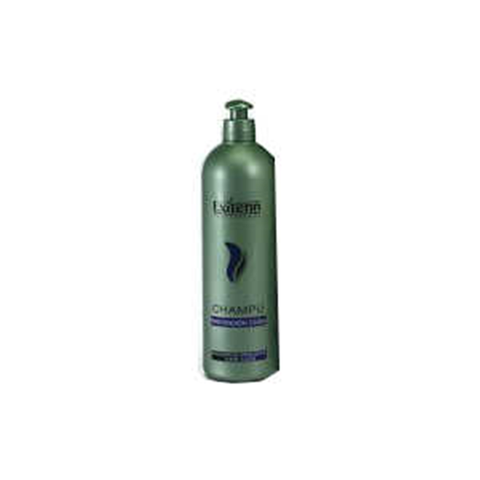 Exitenn Champú Prévención Caída 500 ml - Shampooing Anti-Chute avec Piroctone Olamine, Bisabolol et Aloe Vera Exitenn Champú Prévención Caída 500 ml - Shampooing Anti-Chute avec Piroctone Olamine, Bisabolol et Aloe Vera