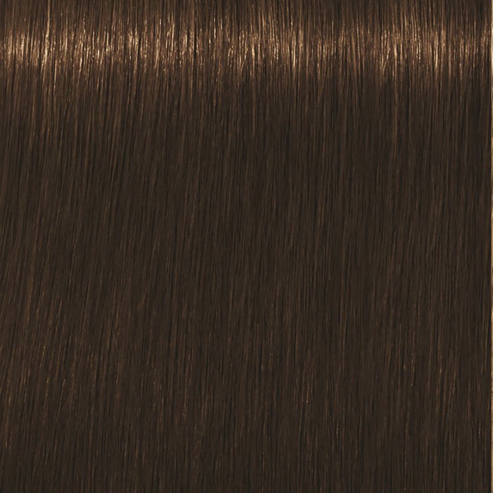 Schwarzkopf IGORA ROYAL ABSOLUTES 7-460 Schwarzkopf IGORA ROYAL ABSOLUTES 7-460