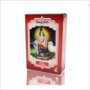 Radhe Shyam Henna Caobá Luminoso en Polvo 100g