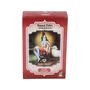 RADHE SHYAM Henné en poudre Caoba lumineux