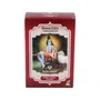 RADHE SHYAM Henné en Poudre Super Caoba Oscuro