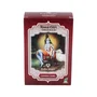 RADHE SHYAM Henné en Poudre Châtain Acajou