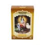 RADHE SHYAM Henné en poudre blond doré
