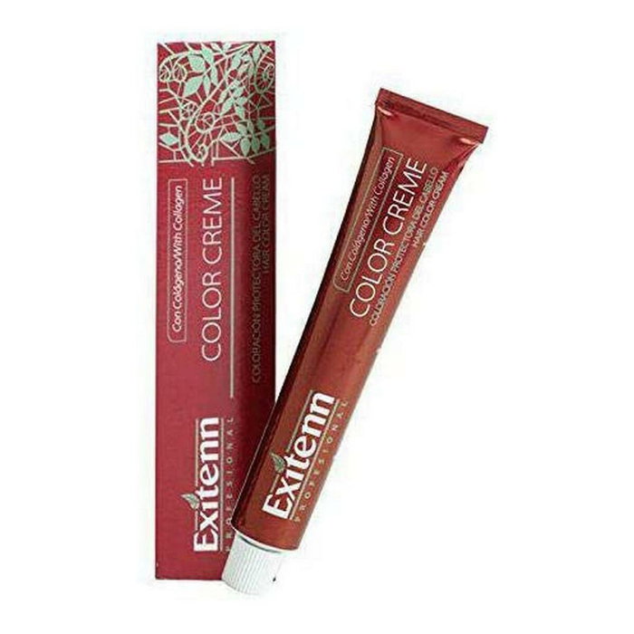 Exitenn Color Crème V87 - Colorant Professionnel Capillaire à Oxydation avec Collagène - Couverture Totale des Cheveux Blancs et Brillance Intense - Gamme Étendue de Tons