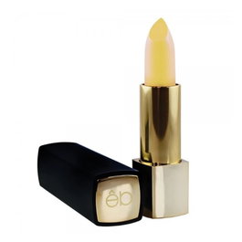 Etre Belle Soin Levres Intense Care+Volume, Rouge à Lèvres Soignant, 4.5 ml
