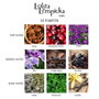 Lolita Lempicka Le Parfum Eau de Parfum 50 ml